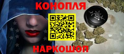 сатива Аргун