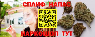 сатива Аргун