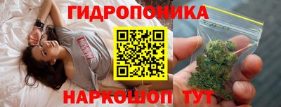 сатива Аргун