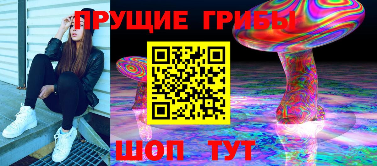 Галлюциногенные грибы мицелий Артём