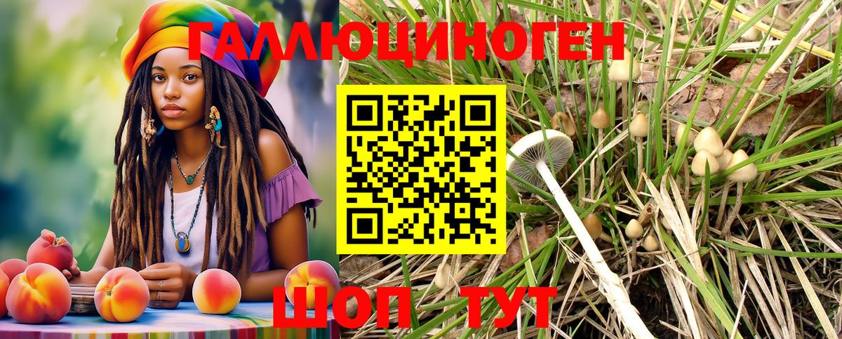 Галлюциногенные грибы мухоморы  наркотики  Галлюциногенные грибы мицелий  Артём 